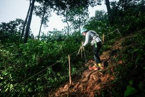 BIB: 
                            <button type="button" onclick="openModal(26203479)" class="btn btn-primary btn-sm float-right btn-popup" data-toggle="modal" data-target=".modal-high-quality">
                        <i class="fas fa-shopping-cart"></i> Add to Cart
                    </button>
                                            <button type="button" onclick="isThisMe(26203479, true)" class="btn btn-success btn-sm float-right btn-popup btn-isme hidden" data-toggle="tooltip" data-placement="bottom" title="นี่คือรูปของคุณใช่ไหม คลิกที่นี่เพื่อเอาเข้าอัลบั้ม">
                        <i class="fas fa-plus"></i> Add to album
                    </button>
                    <button type="button" onclick="isThisMe(26203479, false)" class="btn btn-warning btn-sm float-right btn-popup btn-isnotme hidden">
                        <i class="fas fa-ban"></i> Remove from album
                    </button>